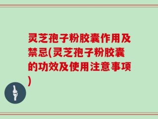 灵芝孢子粉胶囊作用及禁忌(灵芝孢子粉胶囊的功效及使用注意事项)