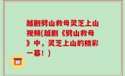 越剧劈山救母灵芝上山视频(越剧《劈山救母》中，灵芝上山的精彩一幕！)