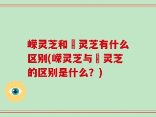 嵘灵芝和艼灵芝有什么区别(嵘灵芝与艼灵芝的区别是什么？)