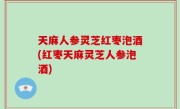 天麻人参灵芝红枣泡酒(红枣天麻灵芝人参泡酒)