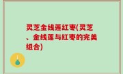 灵芝金线莲红枣(灵芝、金线莲与红枣的完美组合)