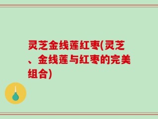 灵芝金线莲红枣(灵芝、金线莲与红枣的完美组合)