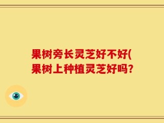 果树旁长灵芝好不好(果树上种植灵芝好吗？