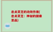 忠贞灵芝的功效作用(忠贞灵芝：神秘的健康圣品)