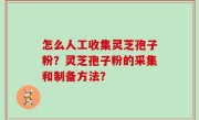 怎么人工收集灵芝孢子粉？灵芝孢子粉的采集和制备方法？