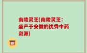 南陵灵芝(南陵灵芝：盛产于安徽的优秀中药资源)
