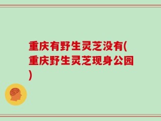 重庆有野生灵芝没有(重庆野生灵芝现身公园)