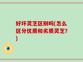 好坏灵芝区别吗(怎么区分优质和劣质灵芝？)
