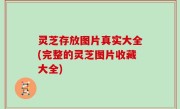 灵芝存放图片真实大全(完整的灵芝图片收藏大全)