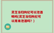 灵芝当归枸杞可以泡酒喝吗(灵芝当归枸杞可以用来泡酒吗？)