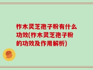 柞木灵芝孢子粉有什么功效(柞木灵芝孢子粉的功效及作用解析)