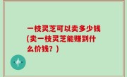 一枝灵芝可以卖多少钱(卖一枝灵芝能赚到什么价钱？)