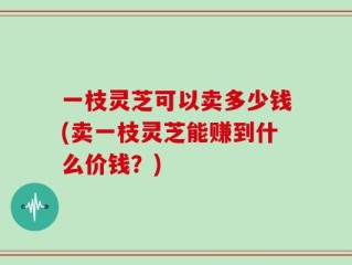 一枝灵芝可以卖多少钱(卖一枝灵芝能赚到什么价钱？)
