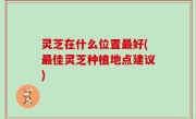 灵芝在什么位置最好(最佳灵芝种植地点建议)