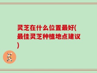 灵芝在什么位置最好(最佳灵芝种植地点建议)