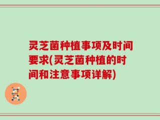 灵芝菌种植事项及时间要求(灵芝菌种植的时间和注意事项详解)