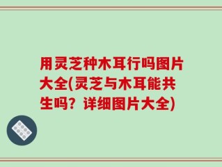 用灵芝种木耳行吗图片大全(灵芝与木耳能共生吗？详细图片大全)