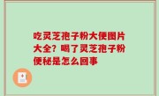 吃灵芝孢子粉大便图片大全？喝了灵芝孢子粉便秘是怎么回事