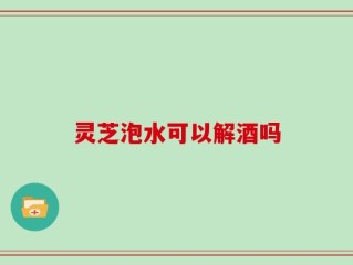 灵芝泡水可以解酒吗