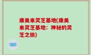 康美来灵芝基地(康美来灵芝基地：神秘的灵芝之旅)