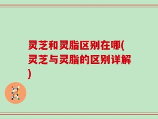 灵芝和灵脂区别在哪(灵芝与灵脂的区别详解)