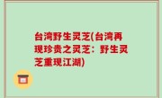 台湾野生灵芝(台湾再现珍贵之灵芝：野生灵芝重现江湖)