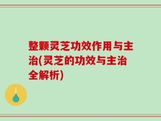 整颗灵芝功效作用与主治(灵芝的功效与主治全解析)
