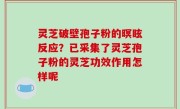灵芝破壁孢子粉的暝眩反应？已采集了灵芝孢子粉的灵芝功效作用怎样呢