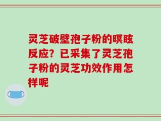 灵芝破壁孢子粉的暝眩反应？已采集了灵芝孢子粉的灵芝功效作用怎样呢