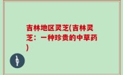 吉林地区灵芝(吉林灵芝：一种珍贵的中草药)