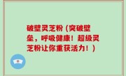 破壁灵芝粉 (突破壁垒，呼吸健康！超级灵芝粉让你重获活力！)