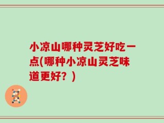 小凉山哪种灵芝好吃一点(哪种小凉山灵芝味道更好？)