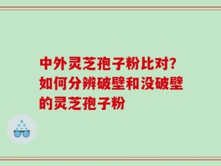 中外灵芝孢子粉比对？如何分辨破壁和没破壁的灵芝孢子粉