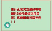 用什么装灵芝最好喝呢图片(如何最佳饮用灵芝？这些图示将指导你！)