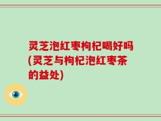 灵芝泡红枣枸杞喝好吗(灵芝与枸杞泡红枣茶的益处)