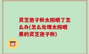 灵芝孢子粉太阳晒了怎么办(怎么处理太阳晒黑的灵芝孢子粉)