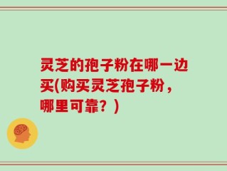 灵芝的孢子粉在哪一边买(购买灵芝孢子粉，哪里可靠？)