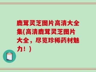 鹿茸灵芝图片高清大全集(高清鹿茸灵芝图片大全，尽览珍稀药材魅力！)