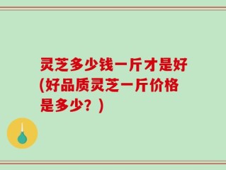 灵芝多少钱一斤才是好(好品质灵芝一斤价格是多少？)