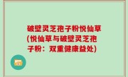 破壁灵芝孢子粉悦仙草(悦仙草与破壁灵芝孢子粉：双重健康益处)
