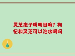 灵芝孢子粉明目嘛？枸杞和灵芝可以泡水喝吗