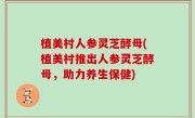 植美村人参灵芝酵母(植美村推出人参灵芝酵母，助力养生保健)