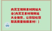 肉灵芝视频素材网站大全(肉灵芝素材视频站大全推荐，让你轻松获取高质量拍摄素材！)