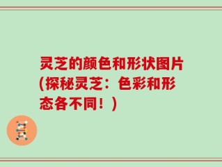 灵芝的颜色和形状图片(探秘灵芝：色彩和形态各不同！)