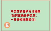 干灵芝的养护方法视频(如何正确养护灵芝：一分钟短视频教你)