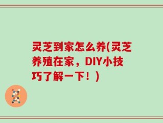 灵芝到家怎么养(灵芝养殖在家，DIY小技巧了解一下！)