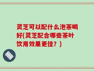 灵芝可以配什么泡茶喝好(灵芝配合哪些茶叶饮用效果更佳？)