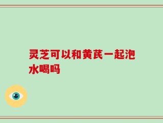 灵芝可以和黄芪一起泡水喝吗