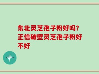 东北灵芝孢子粉好吗？正信破壁灵芝孢子粉好不好