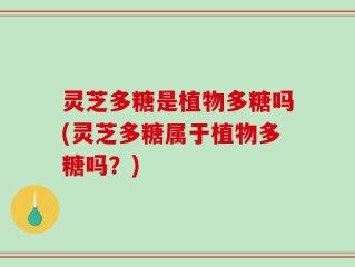 灵芝多糖是植物多糖吗(灵芝多糖属于植物多糖吗？)